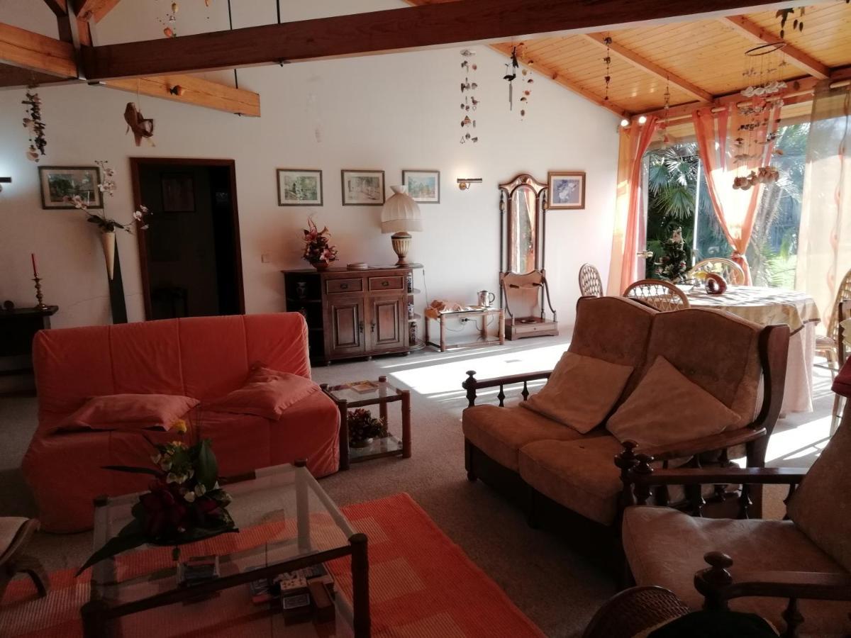 Casa Da Boavista Villa Santa Maria da Feira Ngoại thất bức ảnh